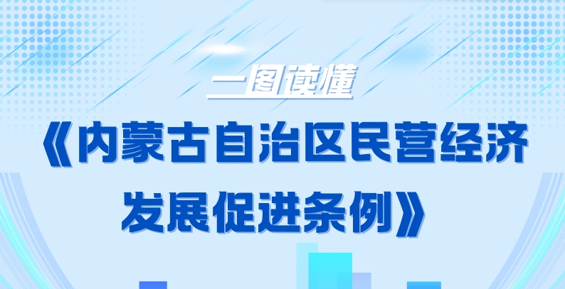 一图读懂——《内蒙古自治区民营经济发展促进条例》