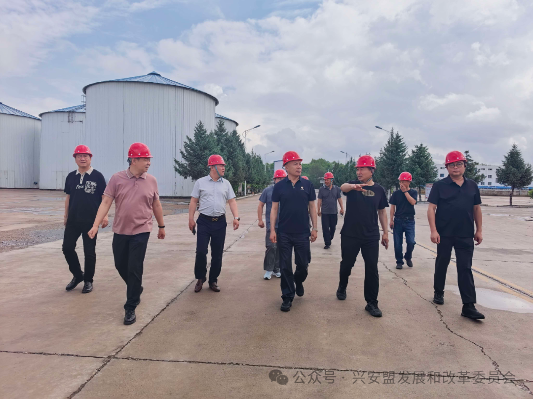 我盟顺利完成铁西粮库自治区级储备粮联合督查考核工作